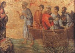 Boletín del 21/08/2016